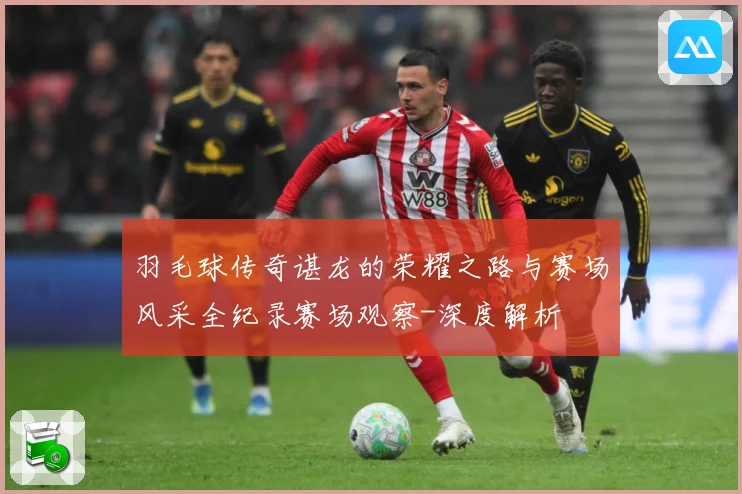 羽毛球传奇谌龙的荣耀之路与赛场风采全纪录赛场观察-深度解析