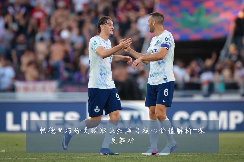 帕德里格哈灵顿职业生涯与核心价值解析-深度解析