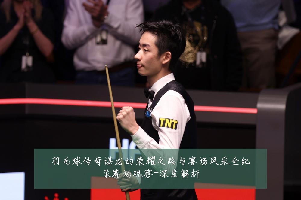 羽毛球传奇谌龙的荣耀之路与赛场风采全纪录赛场观察-深度解析